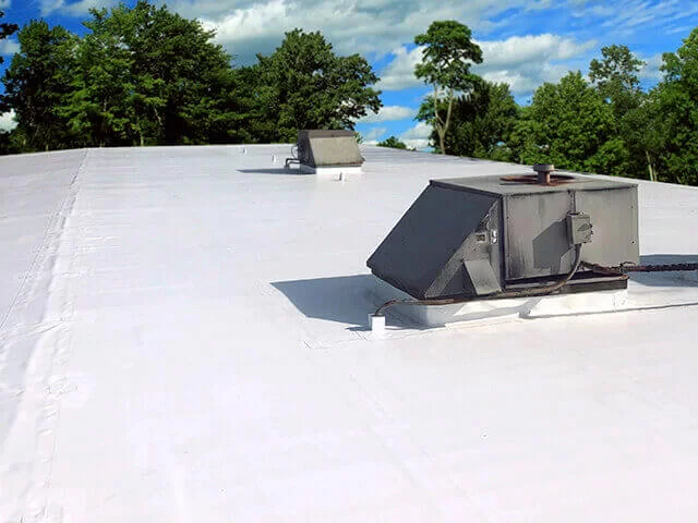 Flat PVC  Roof #5